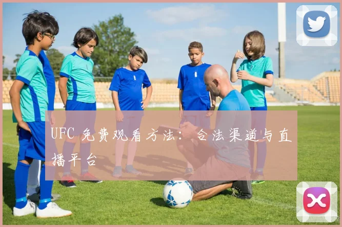 UFC 免费观看方法:合法渠道与直播平台