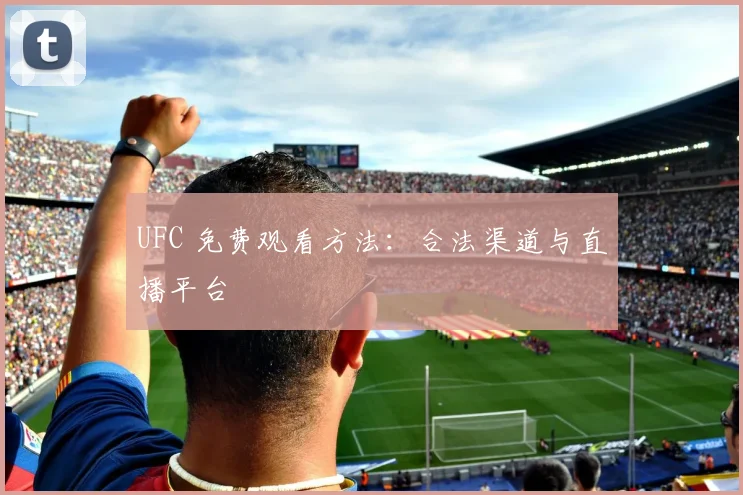UFC 免费观看方法:合法渠道与直播平台